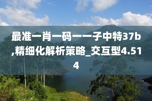 最准一肖一码一一子中特37b,精细化解析策略_交互型4.514