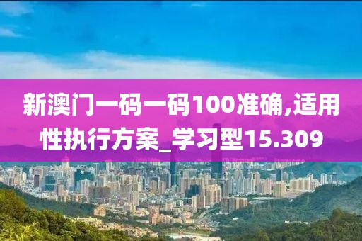 新澳门一码一码100准确,适用性执行方案_学习型15.309