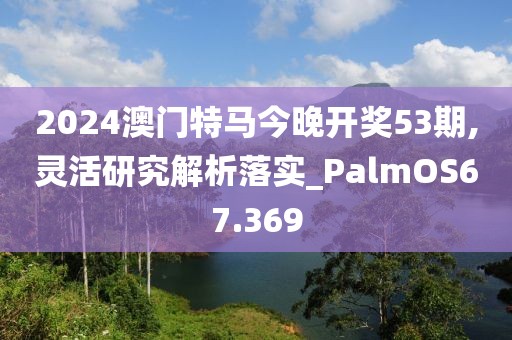 2024澳门特马今晚开奖53期,灵活研究解析落实_PalmOS67.369