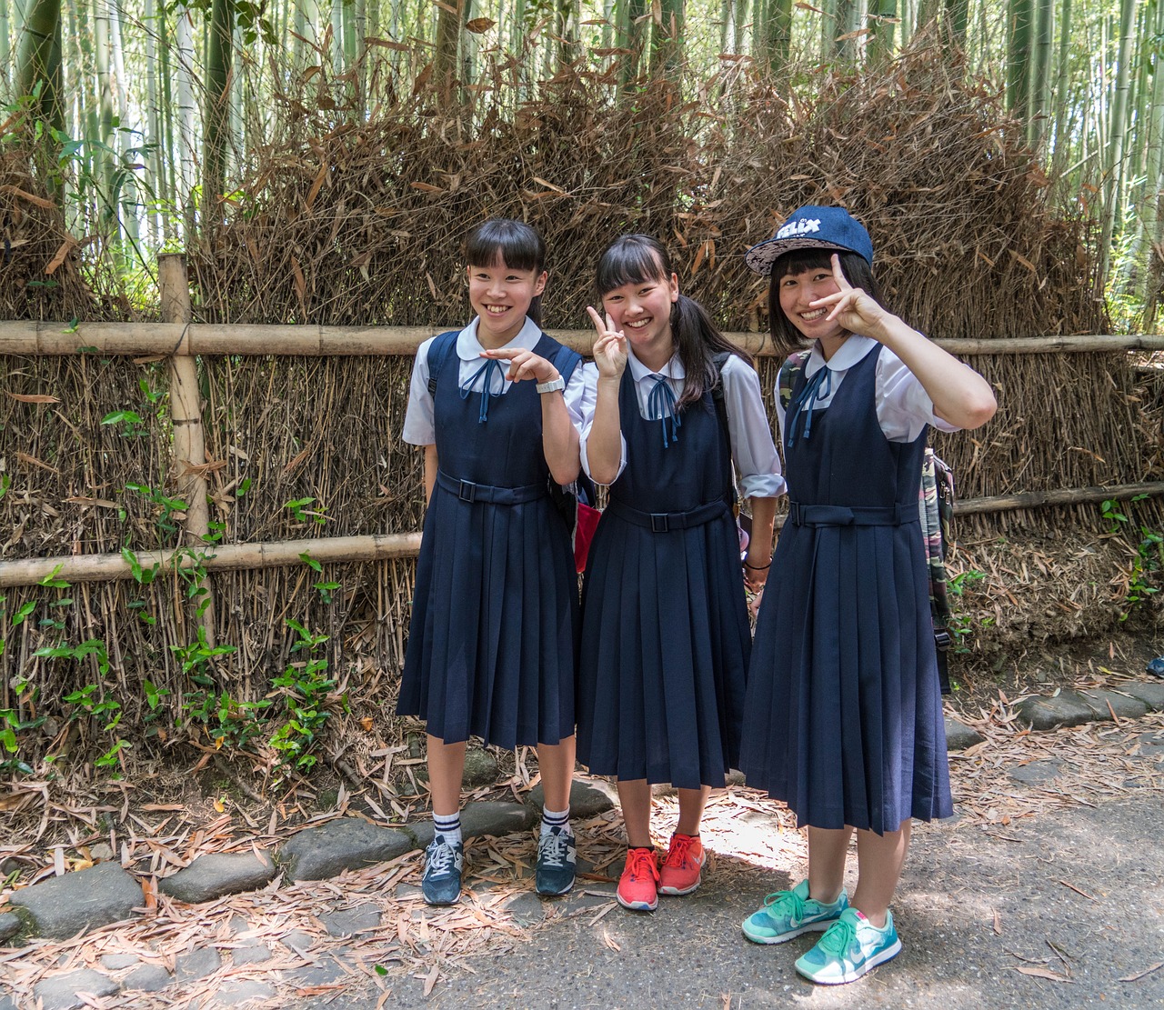 日本最新剧集揭秘，神秘惊悚的极致探索之旅