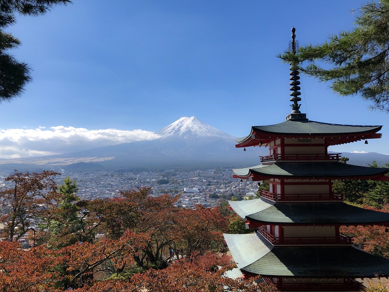 扬州一日游攻略最新,扬州一日游攻略最新