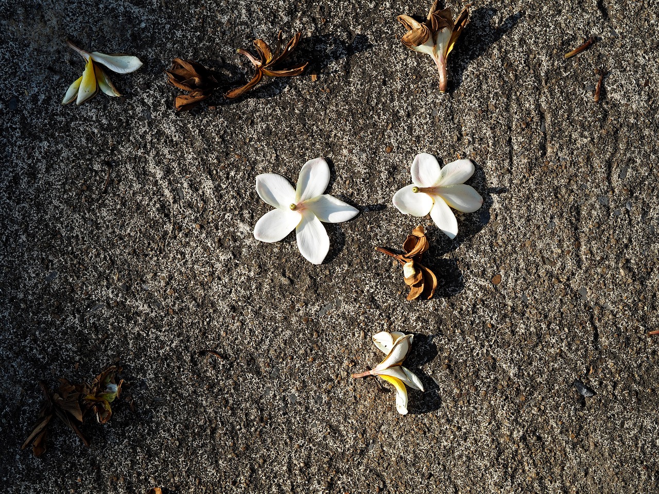 茆怀蕾 第7页