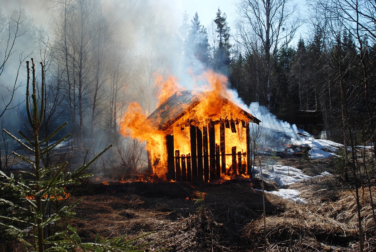 杭州保姆纵火事件最新报道更新